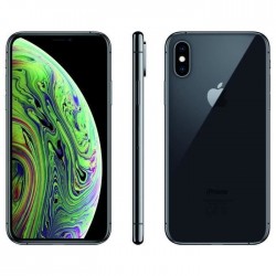 Apple iPhone Xs 64 Go Gris Sidéral