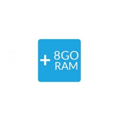 barrette 8go