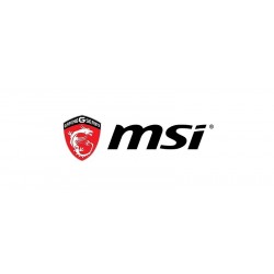 MSI